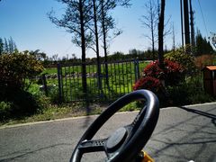 -上海长兴岛郊野公园