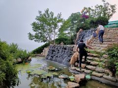 -渔公码头·九龙湾国际饭店