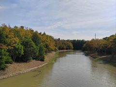 -上海海湾国家森林公园