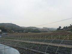 -普迪生态园