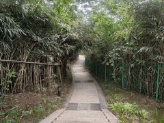 -燕儿岛山公园