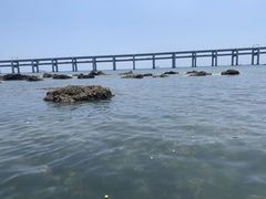 -黑石礁公园