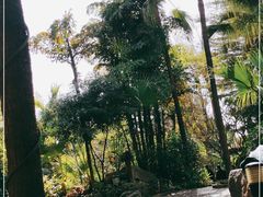 -厦门日月谷温泉渡假村