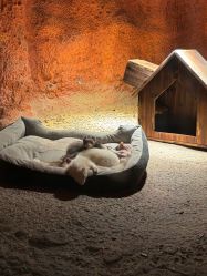 -酷嗒动物文化乐园(cutezoo西溪乐天城店)