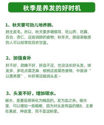 -Bollins波林丝•专研护发中心