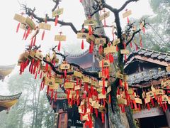 -峨眉山报国寺