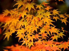 -共青国家森林公园-售票处