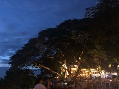 -网红落日悬崖餐厅 The Sky Gallery