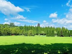 -宜兴龙背山森林公园