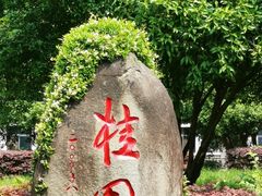 -武汉大学-桂园餐厅