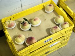 -老袁家蜜桃农场·阳山水蜜桃