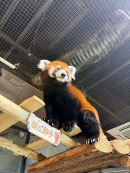 -Zoolung Zoolung动物主题公园(海信广场店)