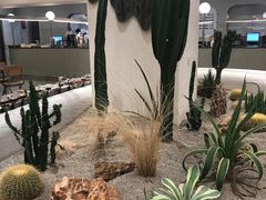 -OUR Bakery(SKP-S店)