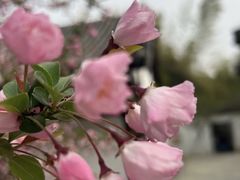 -求雨山文化公园