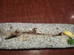 -大吉鲜鱼料理自慢(维也纳大厦店)