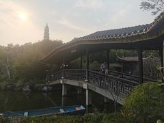 -顺峰山公园