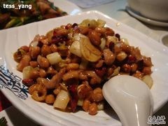 DSC08131-巴蜀风·地道川菜(总店)