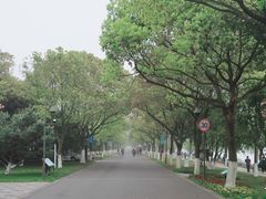 -东钱湖小普陀景区