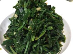 -老阿妈蒙古村·蒙古包·草原文化·歌舞表演(老君堂店)