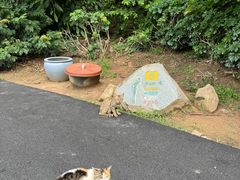 -麓湖高尔夫球俱乐部