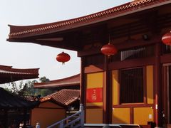 -三水森林公园