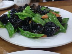 -小叶大馅饺子城
