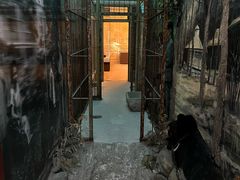 -北京动物园-畅观楼