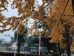 -四川大学(望江校区)