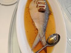 招牌酒酿蒸鲥鱼-海逸海鲜酒家(古北店)
