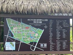 -上海长兴岛郊野公园