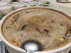 -爱膳菌锅锅(阳南店)