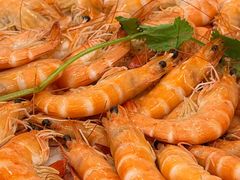 白灼九节虾-天鲜阁·海鲜粤菜·33年老字号(石槎白云站店)