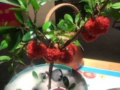 -长安大牌档之上元灯会(南大街店)