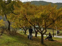 -苏州上方山国家森林公园