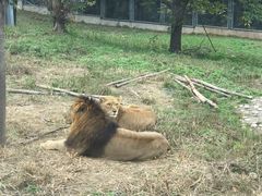 -西安秦岭野生动物园