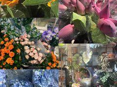 -循礼门鲜花花市(武汉循礼门店)