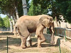 -石家庄市动物园