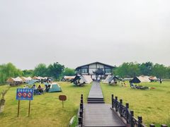 -南湖湿地公园