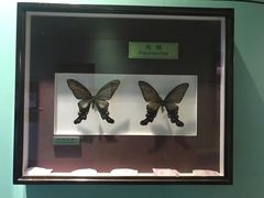 -上海昆虫博物馆