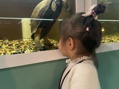 -上海大自然野生昆虫馆(东方明珠·爬宠昆虫探索中心)