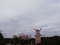 -铁山坪森林公园