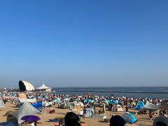 -碧海金沙