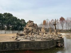 -合肥野生动物园