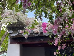 -深圳国际园林花卉博览园