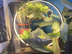 -My Way Town买味堂·东南亚餐厅(亦庄店)