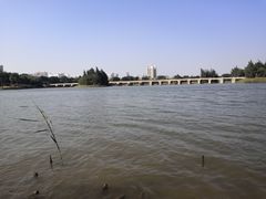 -五里桥文化公园-西侧停车场