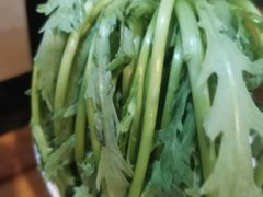 -陈记顺和潮汕鲜牛肉火锅(棠德南路店)