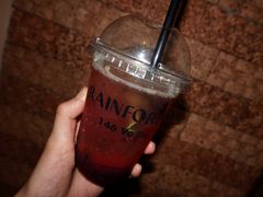 -Rainforest