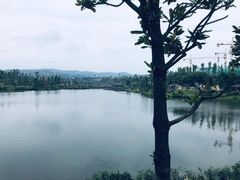 -枫香湖儿童公园