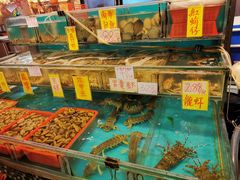 水产区-鲜入围煮花胶鸡海鲜火锅